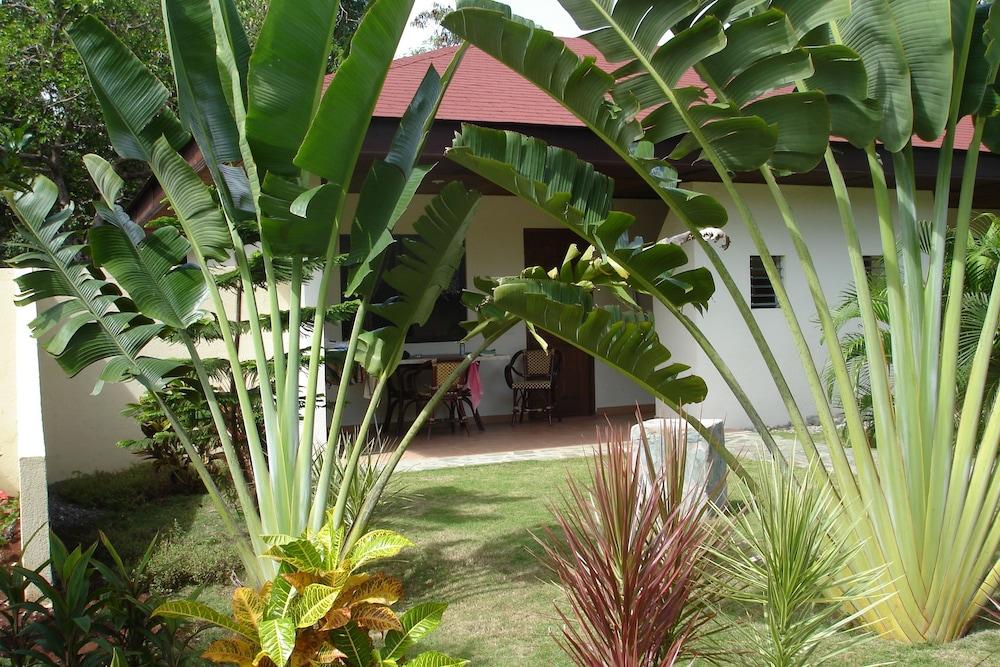 Alona Swiss Resort Panglao Eksteriør billede