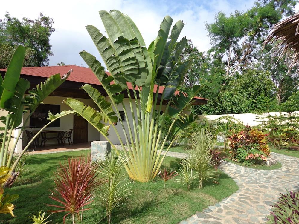 Alona Swiss Resort Panglao Eksteriør billede